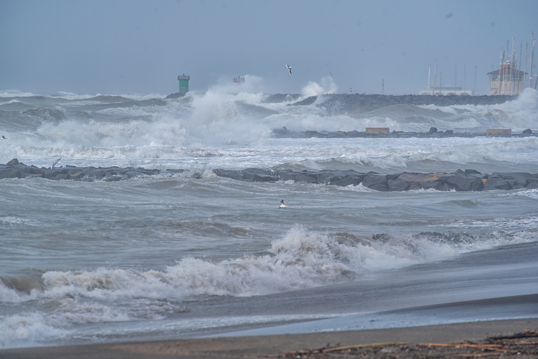 Dimmi che vento spira e saprai che mare avrai